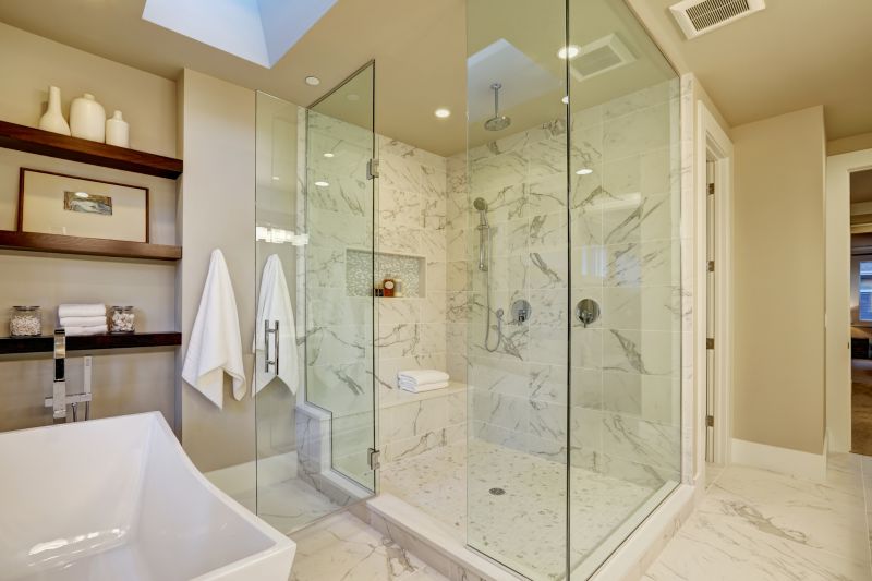 Stylish Bathroom Shower Setup